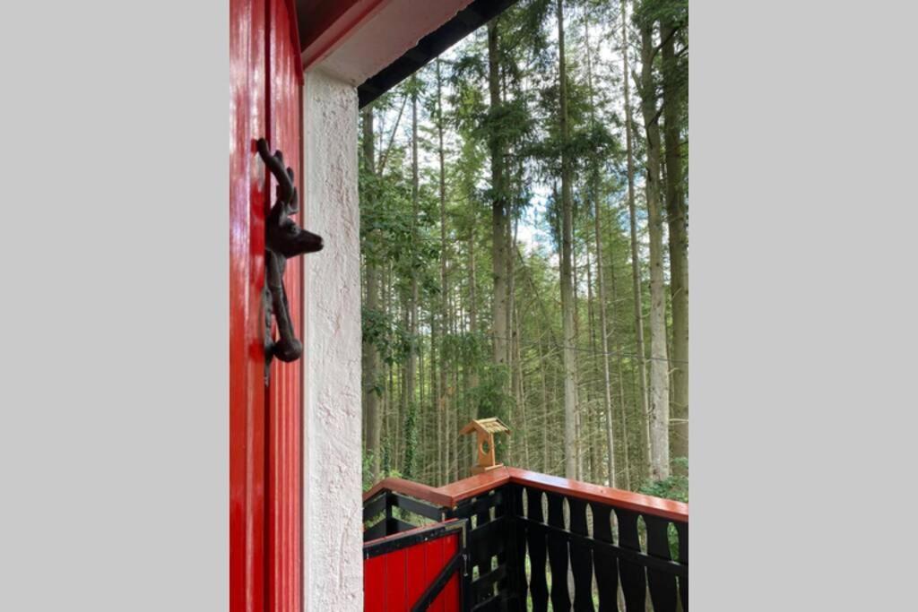 The Vianden Cottage - Charming Cottage In The Forest Exterior photo